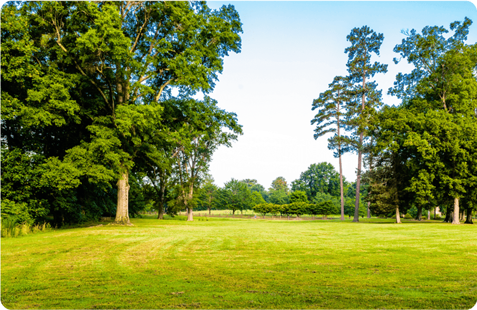 Housing & property market